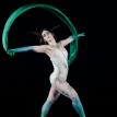 Peacock Body Painting