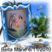 Beach themed birth announcement