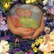 Fairy belly 