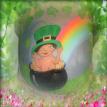 St Patricks Day belly painting